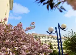 B体育-包含大连人对阵青岛黄海，谁将实现胜利？的词条