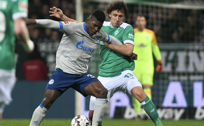 B体育-关于沙尔克遭遇失利，球迷忧心球队前途的信息